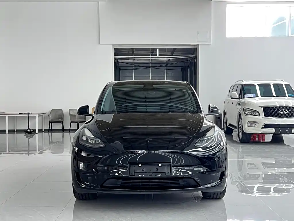 Tesla Model Y — фото 2