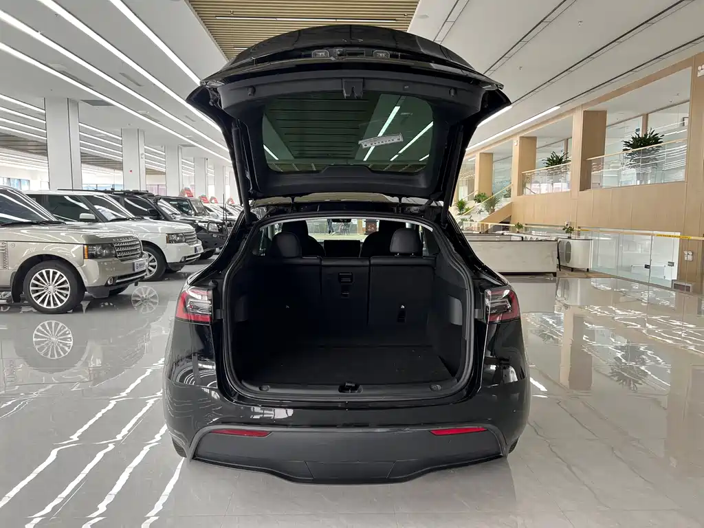 Tesla Model Y — фото 14