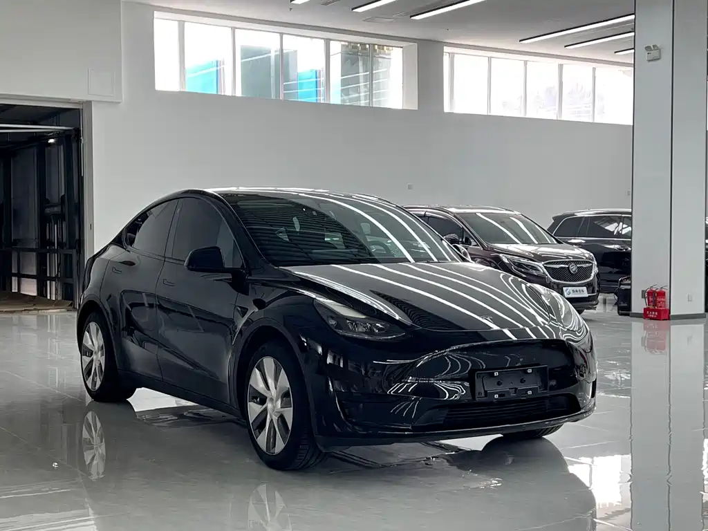 Tesla Model Y — фото 3