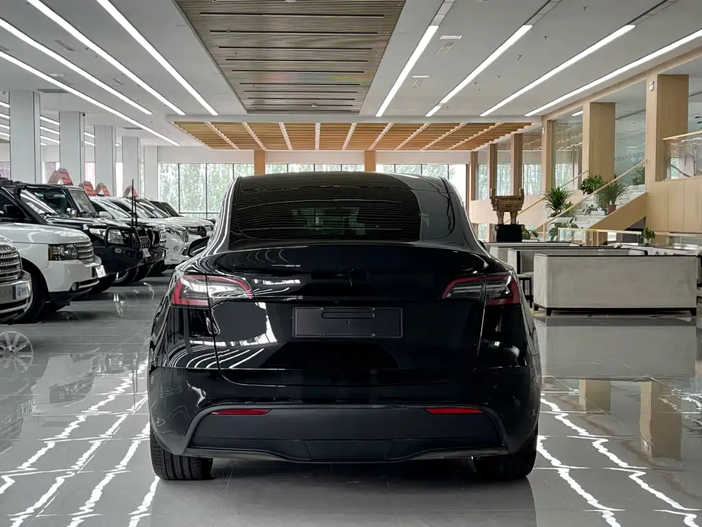 Tesla Model Y — фото 4