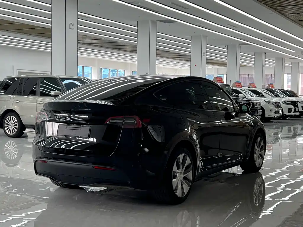 Tesla Model Y — фото 5