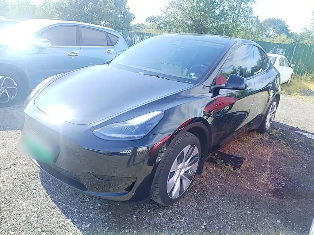 Tesla Model Y — фото 2
