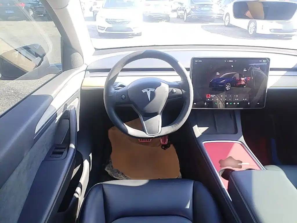 Tesla Model Y — фото 11