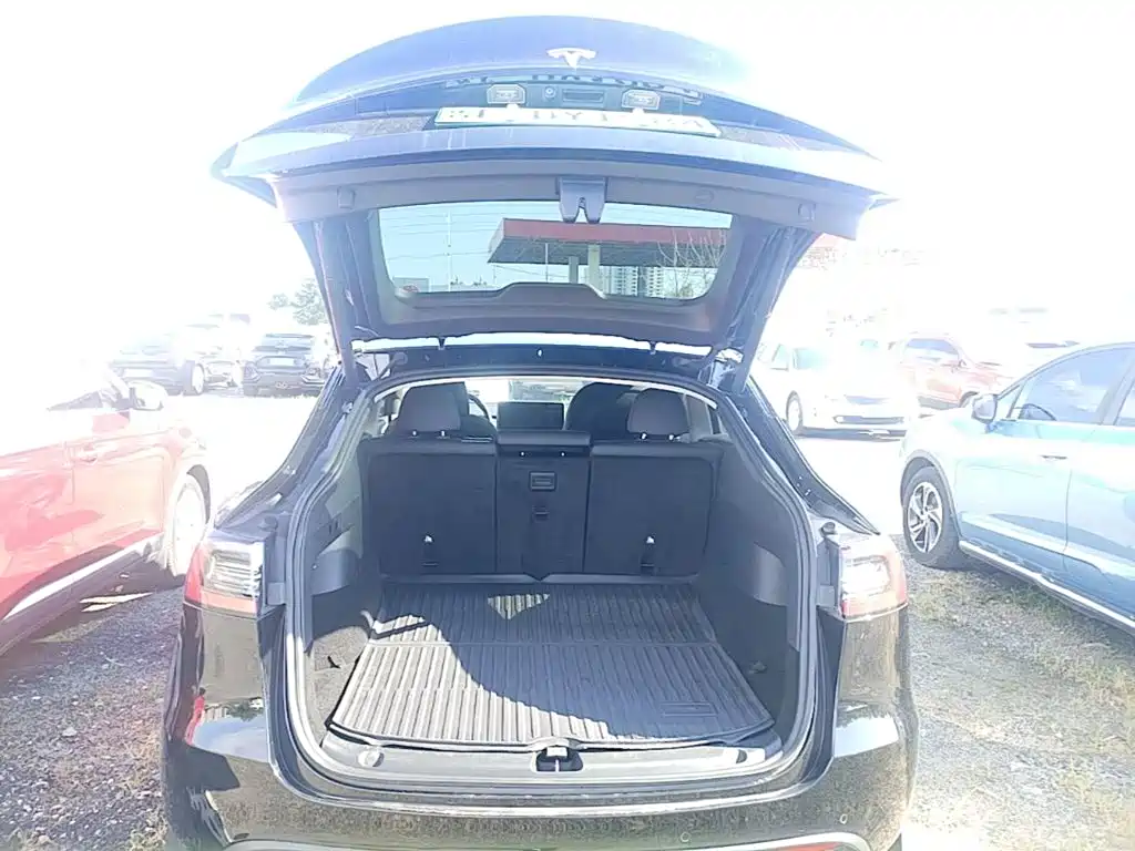 Tesla Model Y — фото 19