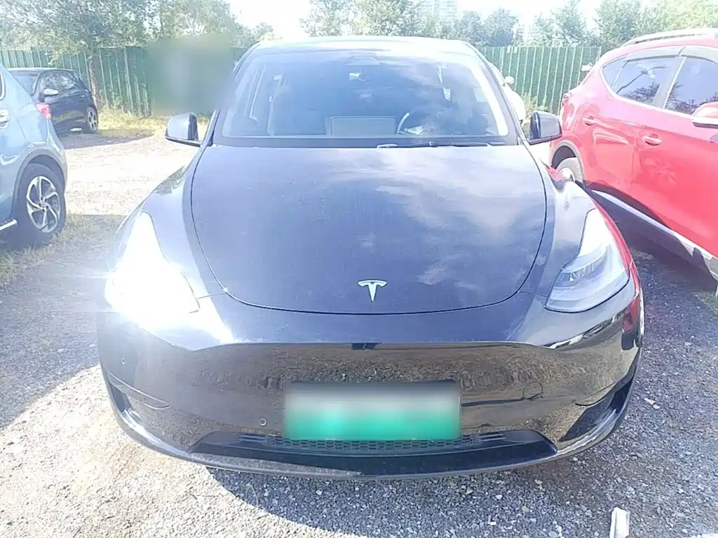 Tesla Model Y — фото 3