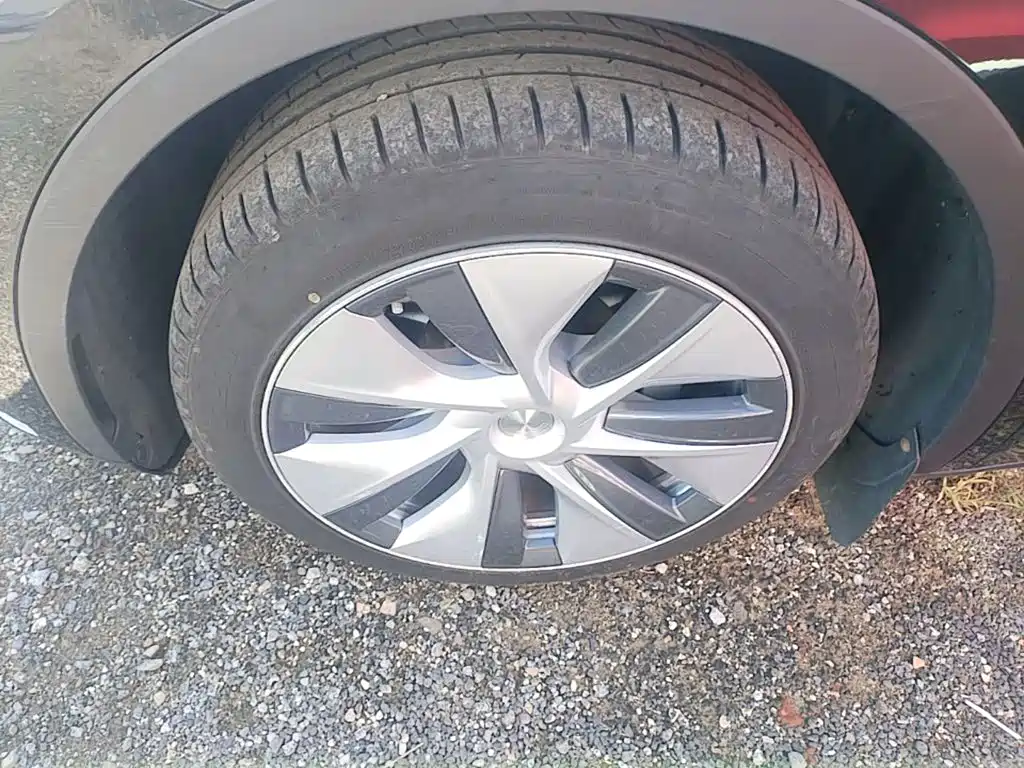 Tesla Model Y — фото 23