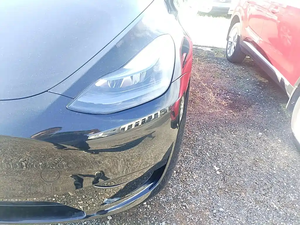 Tesla Model Y — фото 24
