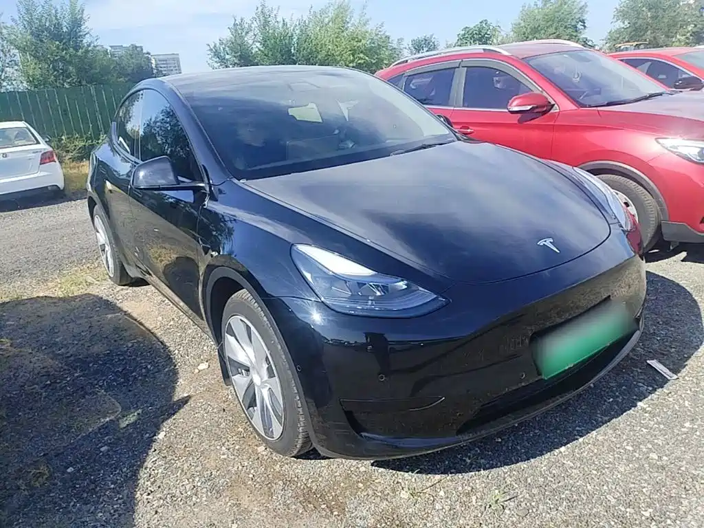 Tesla Model Y — фото 4