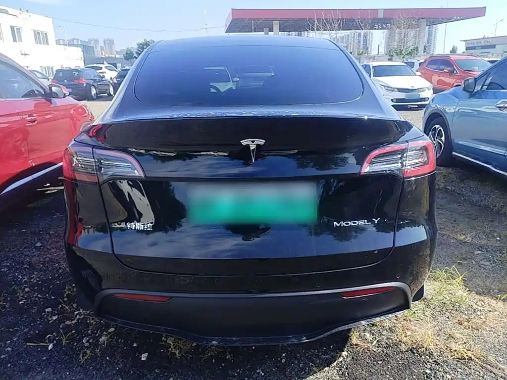 Tesla Model Y — фото 6