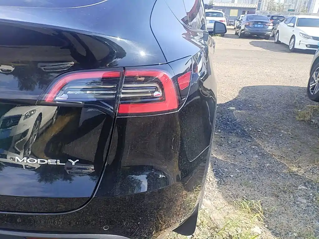 Tesla Model Y — фото 8