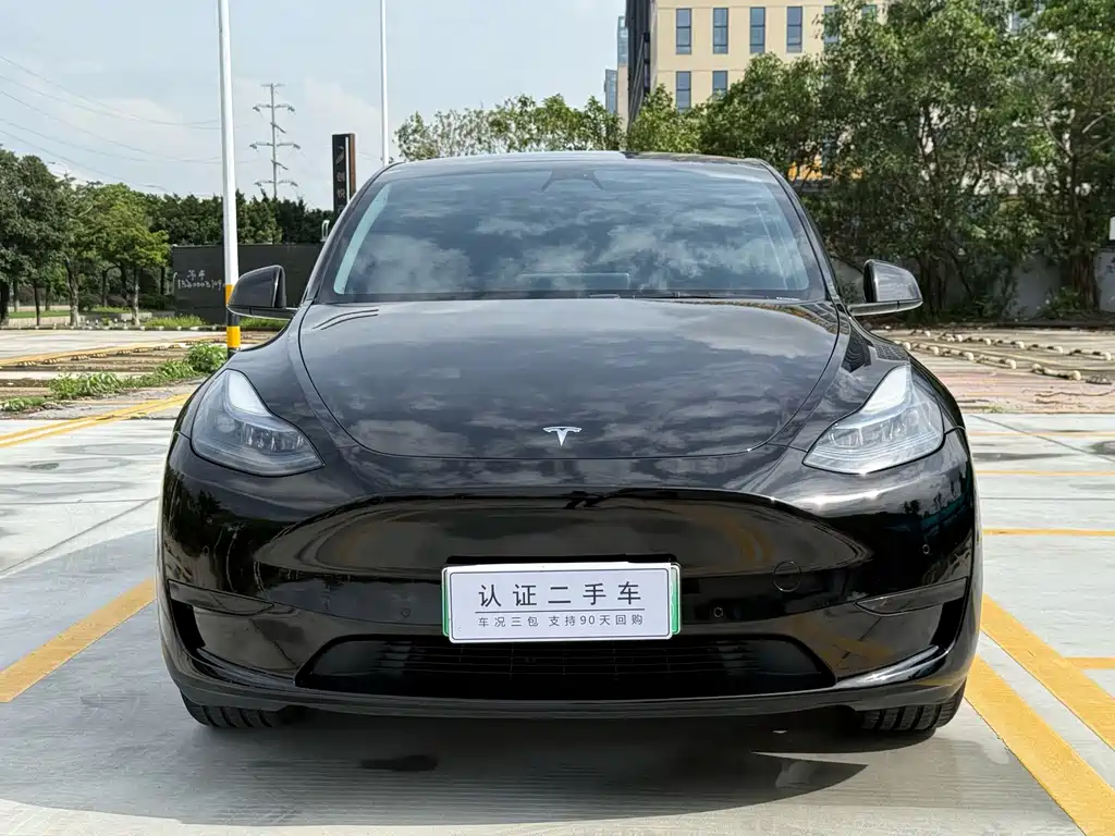 Tesla Model Y — фото 2