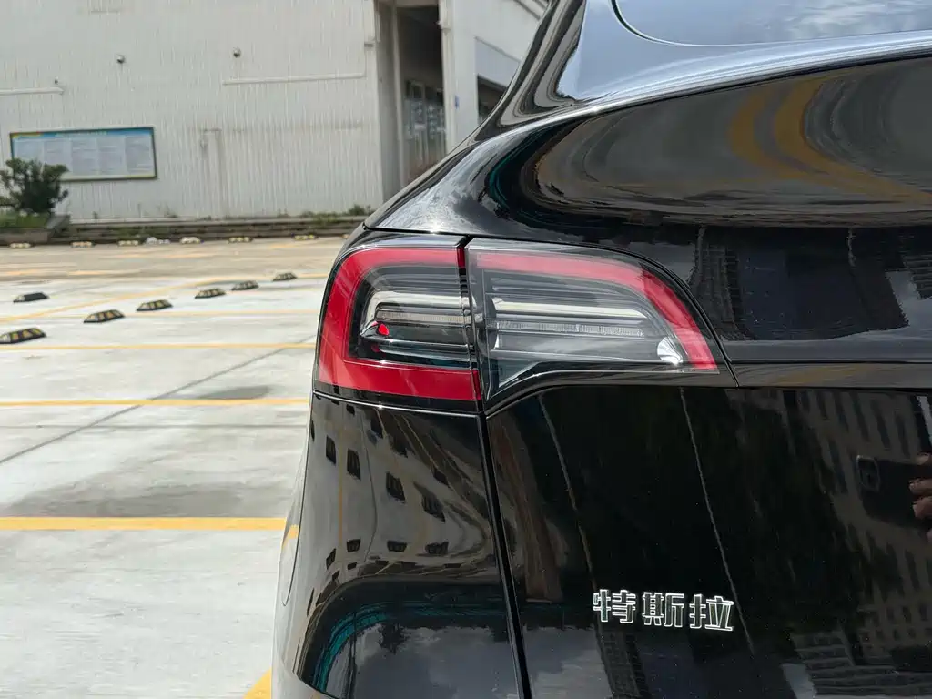Tesla Model Y — фото 11