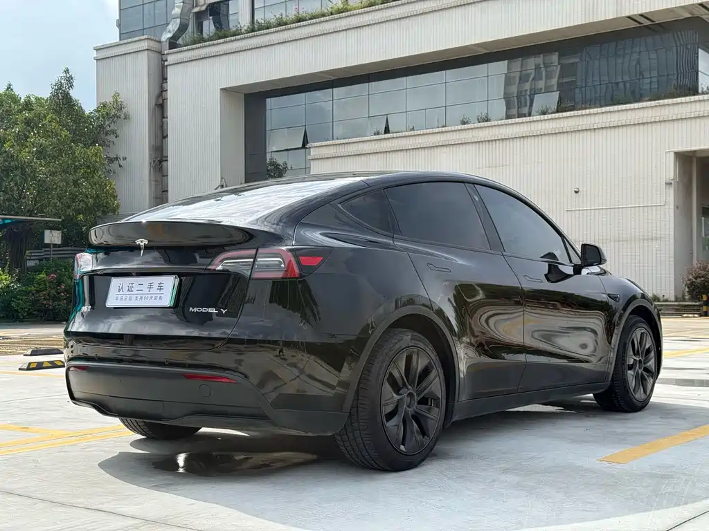 Tesla Model Y — фото 14