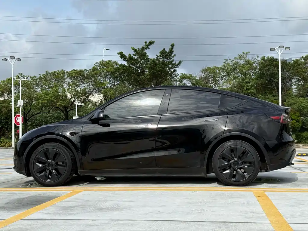 Tesla Model Y — фото 15