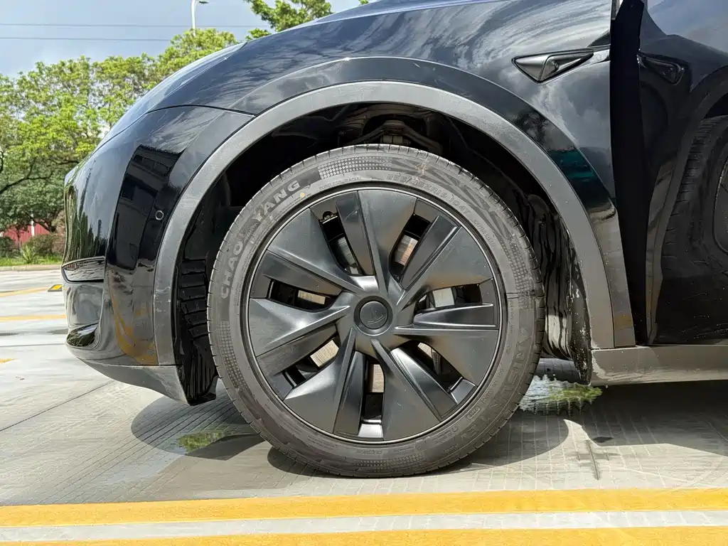 Tesla Model Y — фото 10
