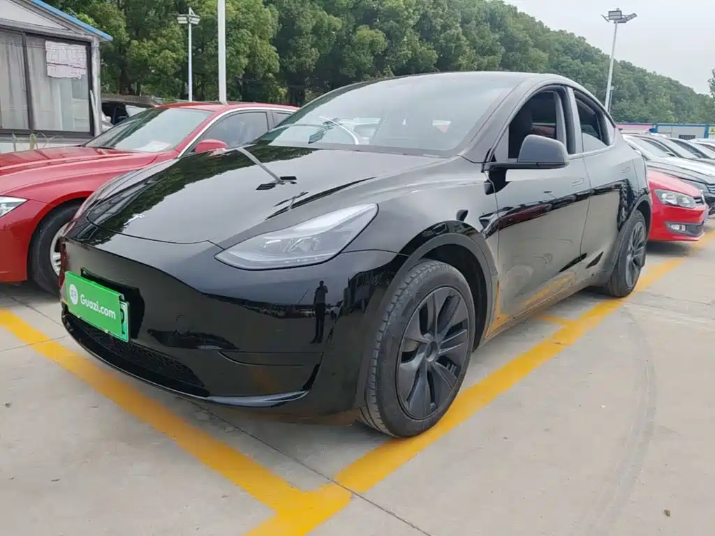 Tesla Model Y — фото 2