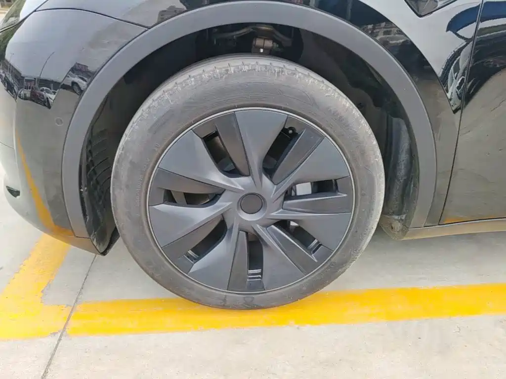 Tesla Model Y — фото 23