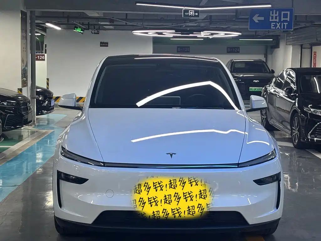 Tesla Model Y — фото 2