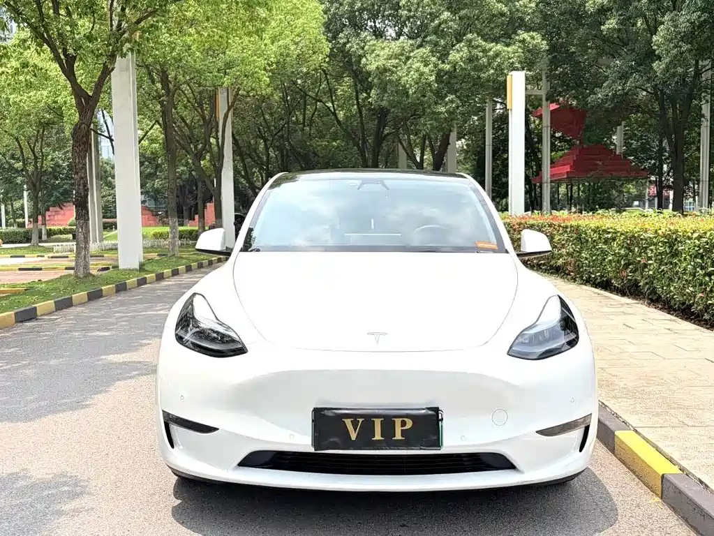Tesla Model Y — фото 2