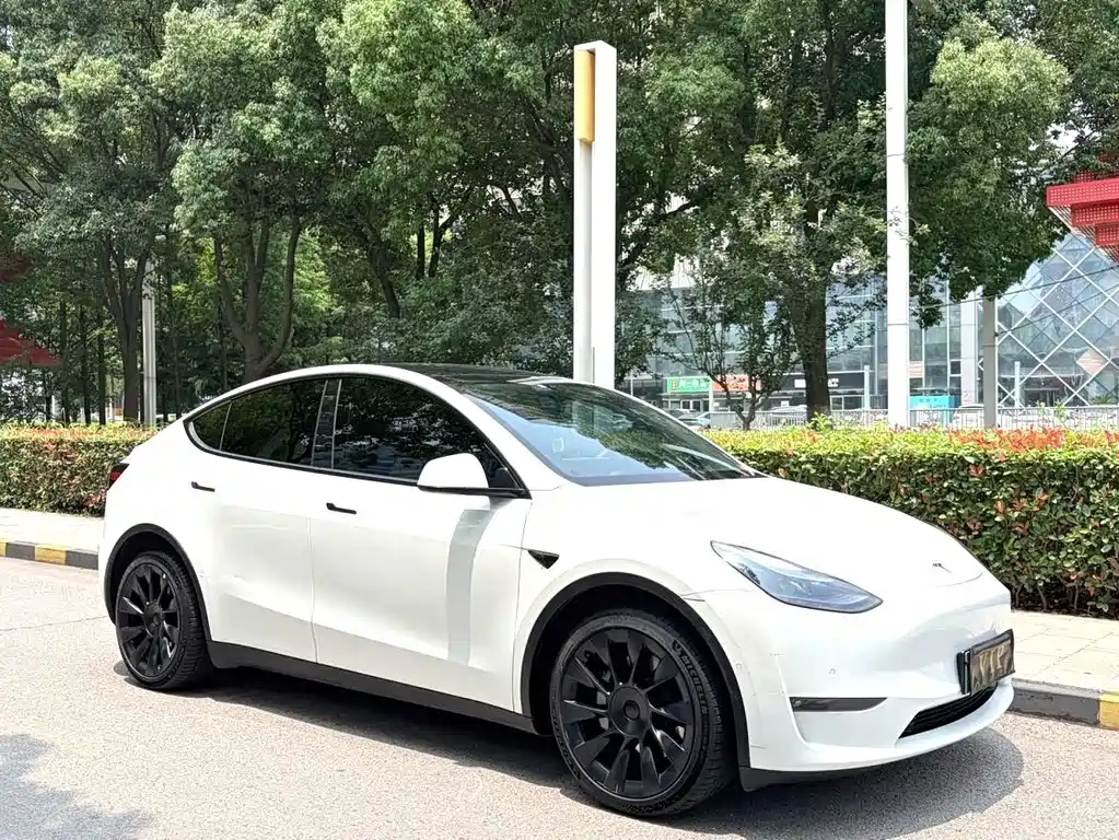 Tesla Model Y — фото 3