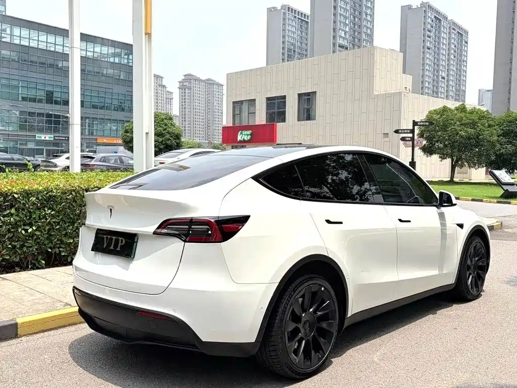 Tesla Model Y — фото 8