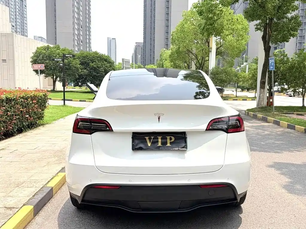 Tesla Model Y — фото 9