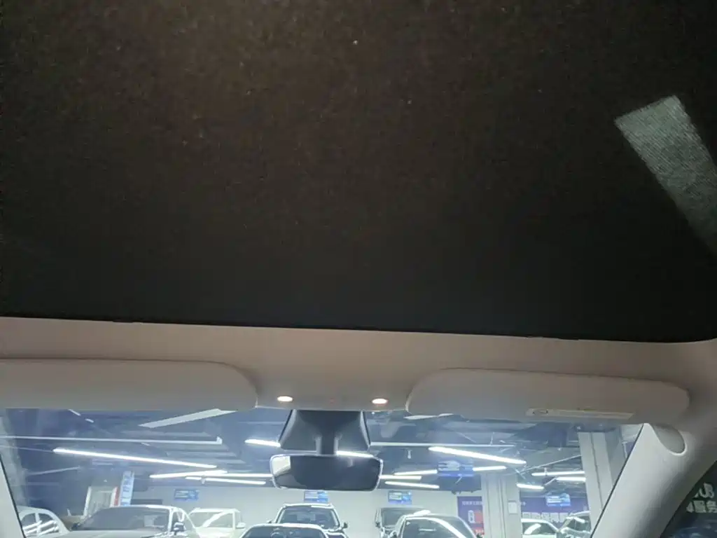 Tesla Model Y — фото 18