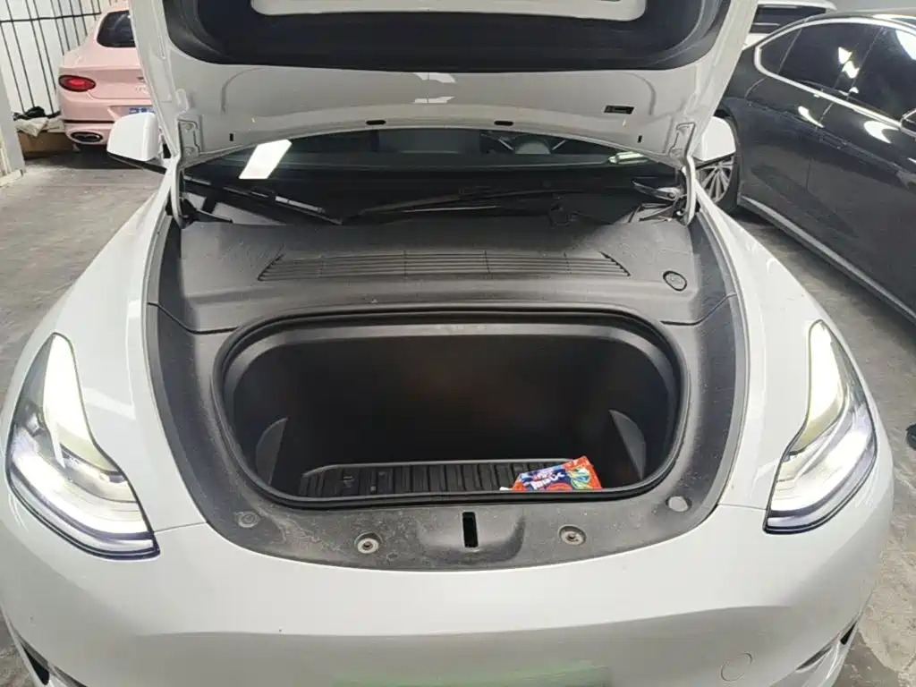 Tesla Model Y — фото 20