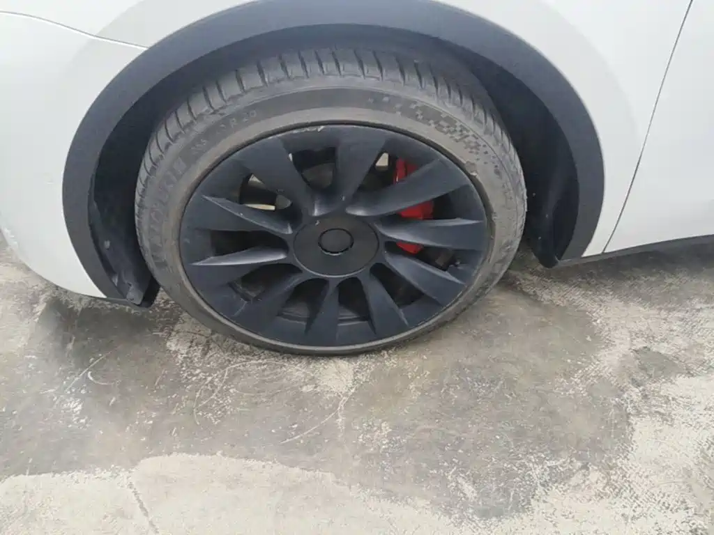 Tesla Model Y — фото 23