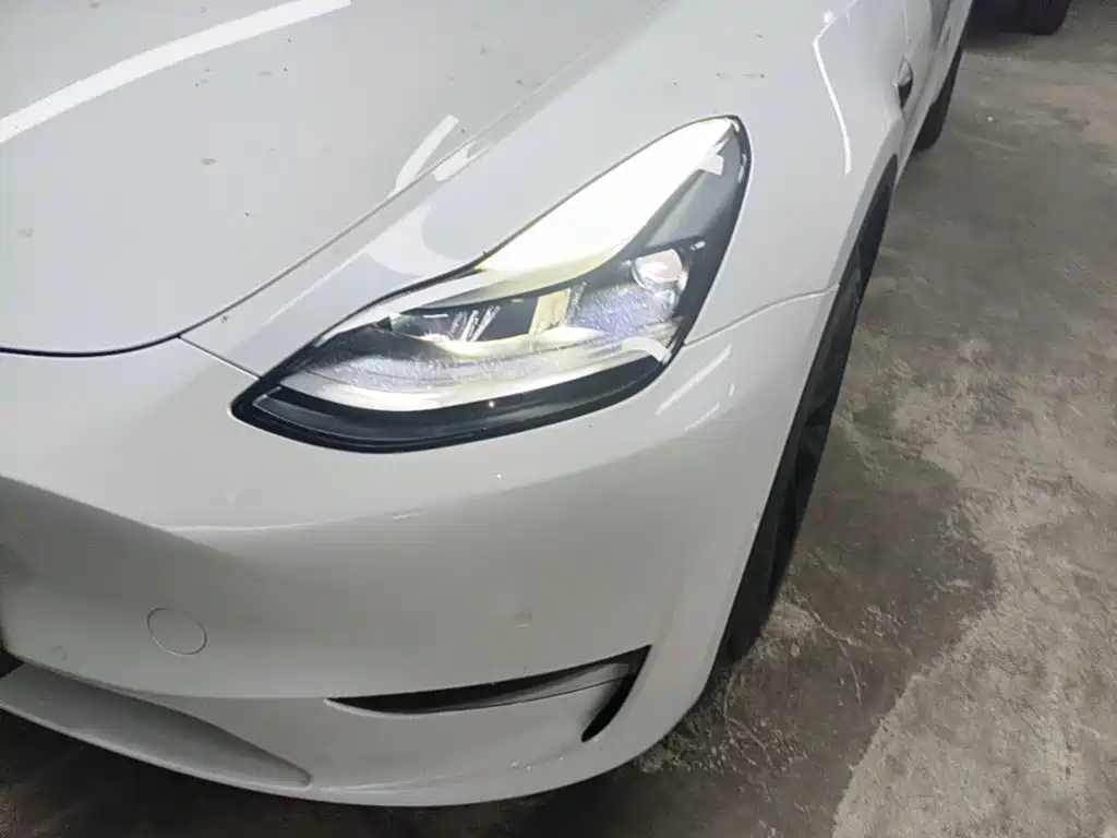 Tesla Model Y — фото 24