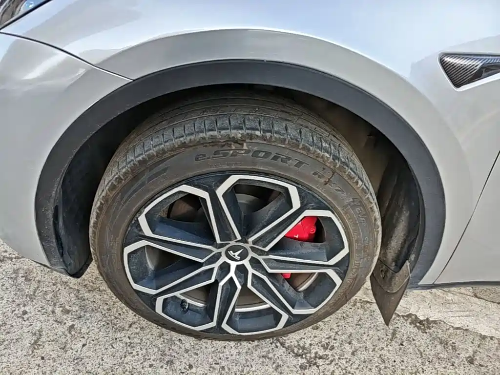 Tesla Model Y — фото 23