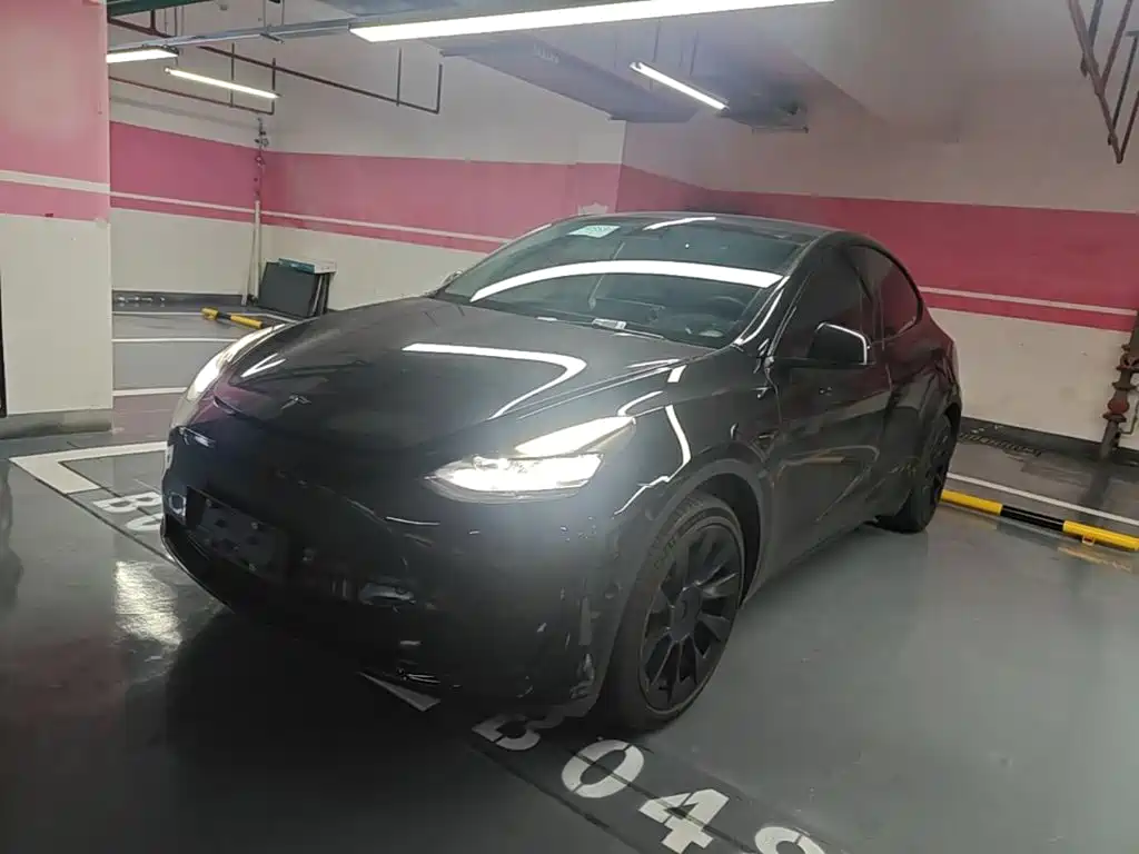 Tesla Model Y — фото 2