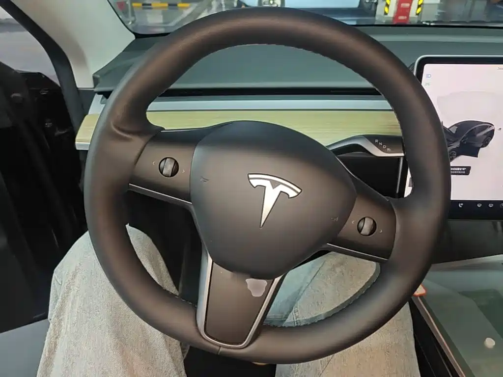 Tesla Model Y — фото 11