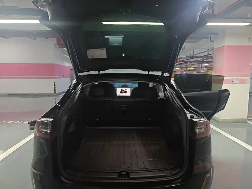 Tesla Model Y — фото 19