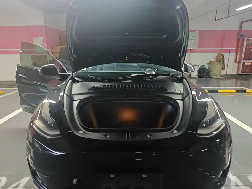 Tesla Model Y — фото 20