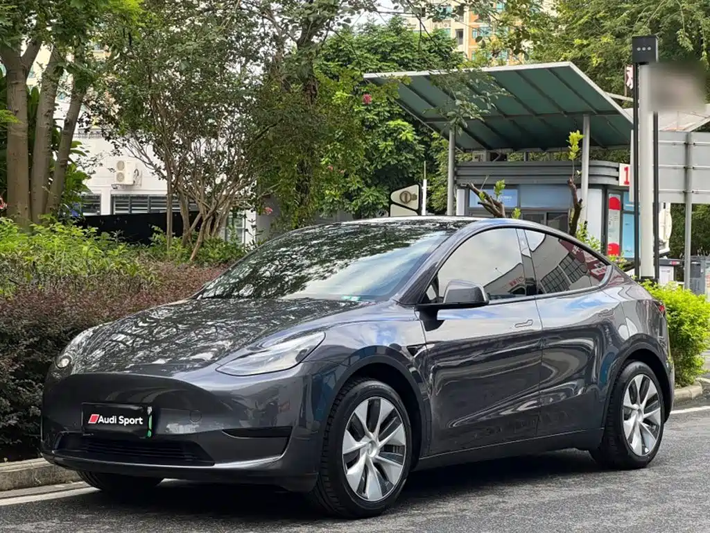 Tesla Model Y — фото 2