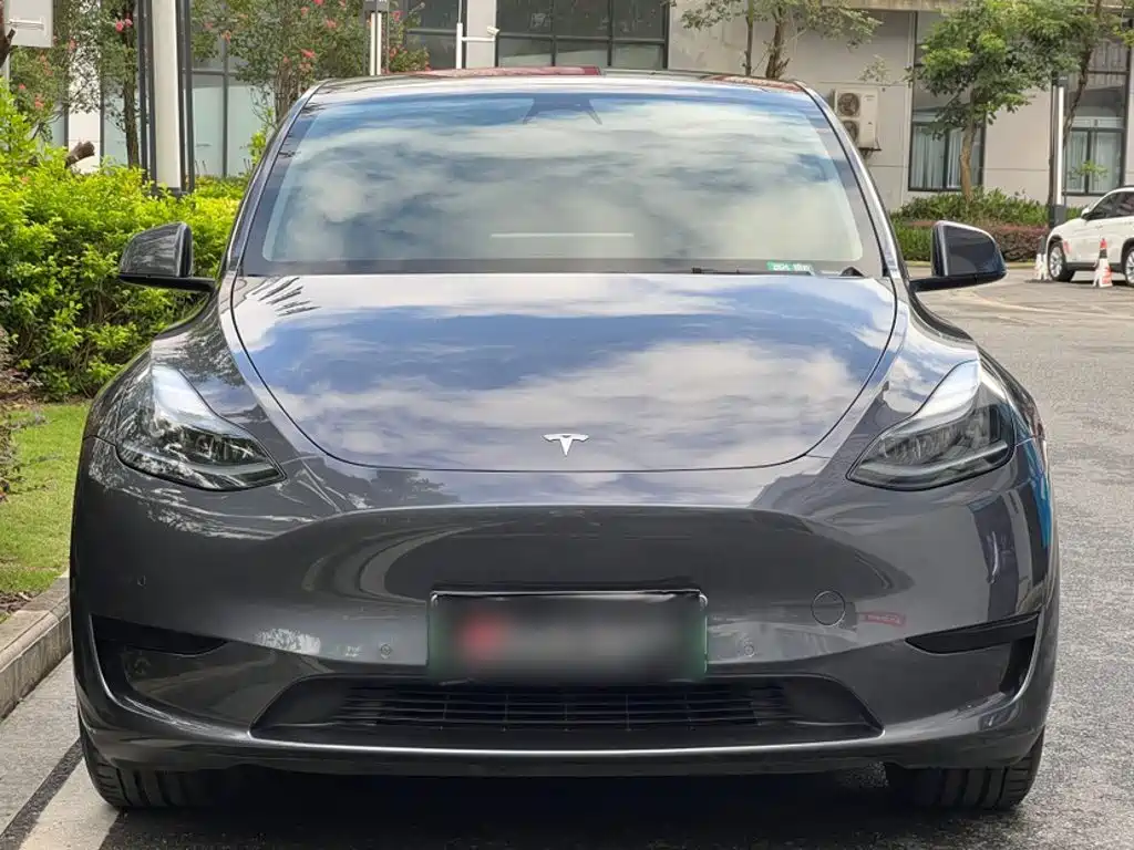 Tesla Model Y — фото 20