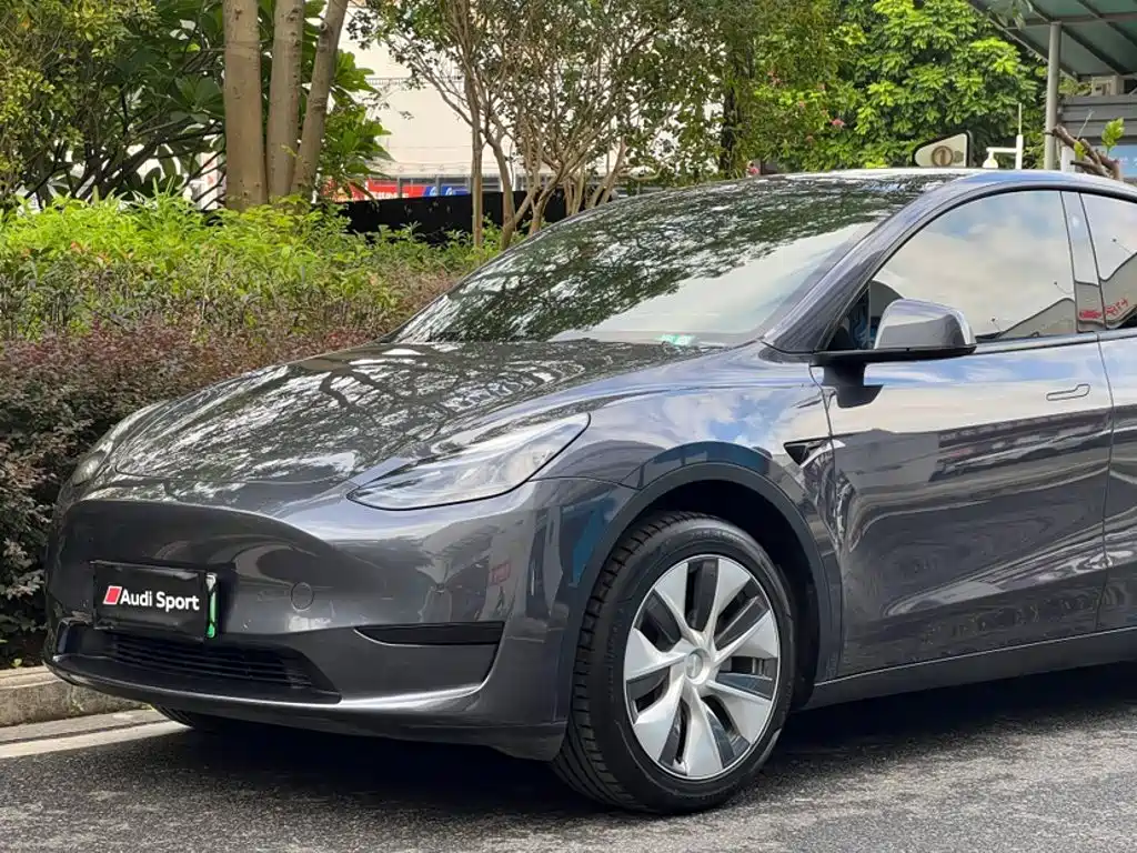 Tesla Model Y — фото 24