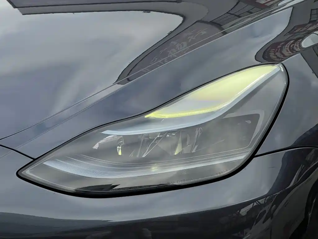 Tesla Model Y — фото 25