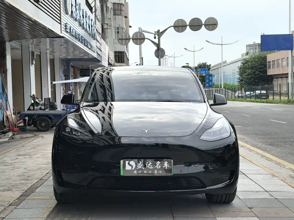 Tesla Model Y — фото 2