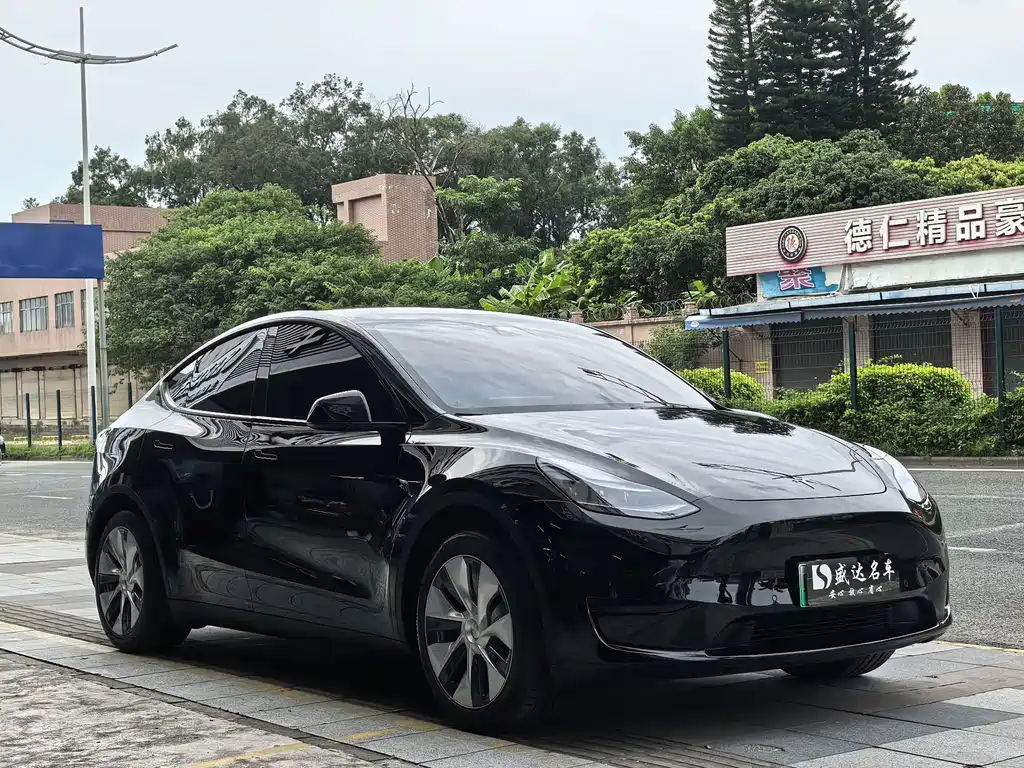 Tesla Model Y — фото 3