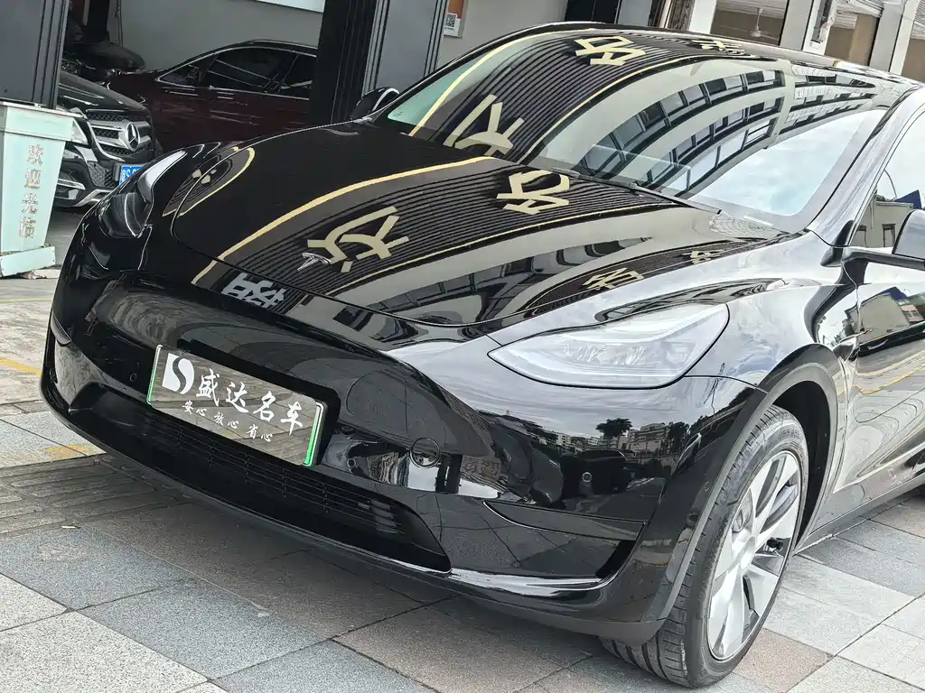 Tesla Model Y — фото 21