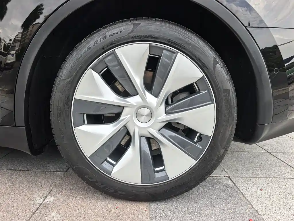 Tesla Model Y — фото 23