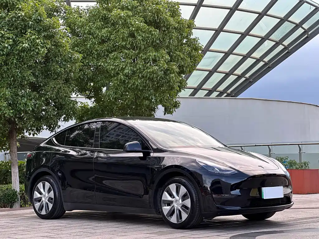 Tesla Model Y — фото 2