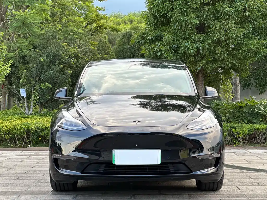 Tesla Model Y — фото 3