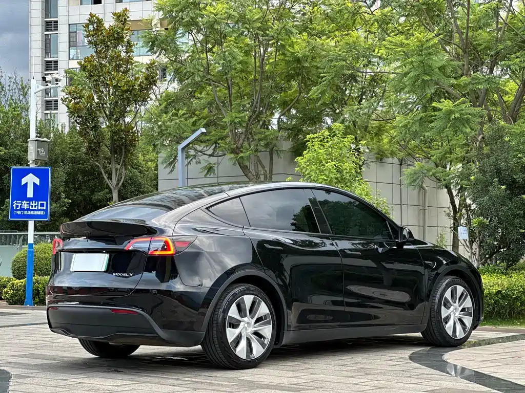 Tesla Model Y — фото 4
