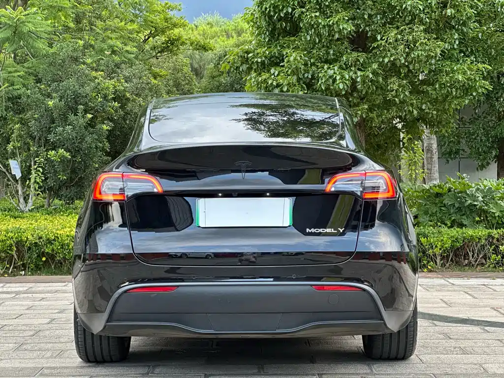 Tesla Model Y — фото 6