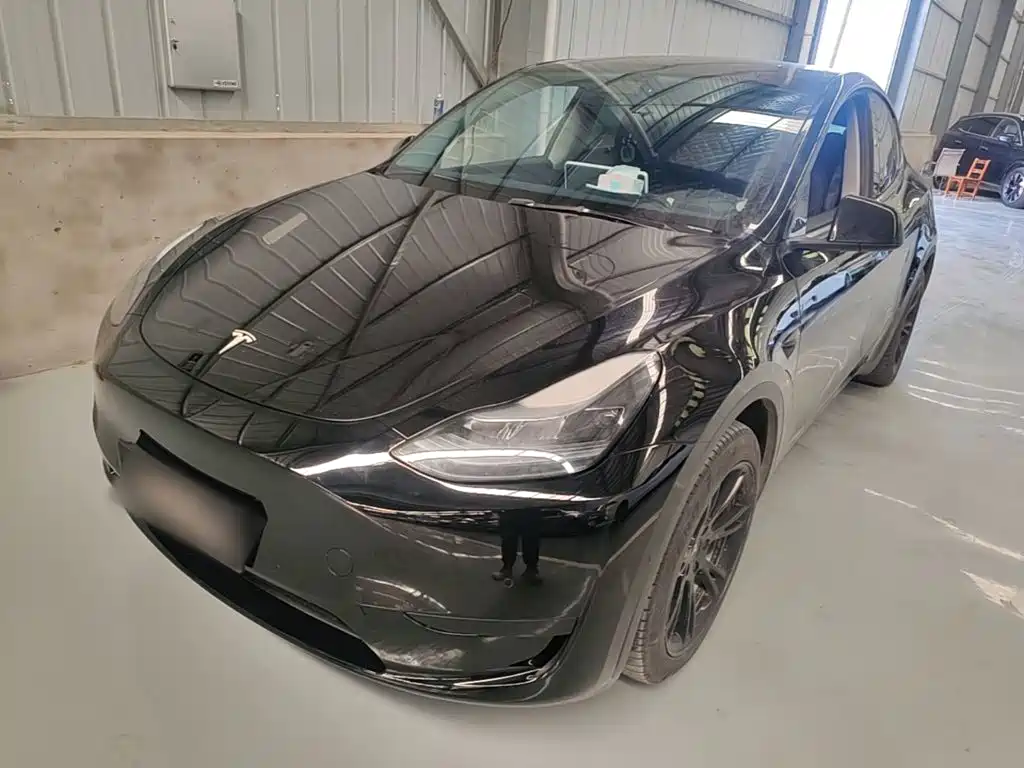 Tesla Model Y — фото 2