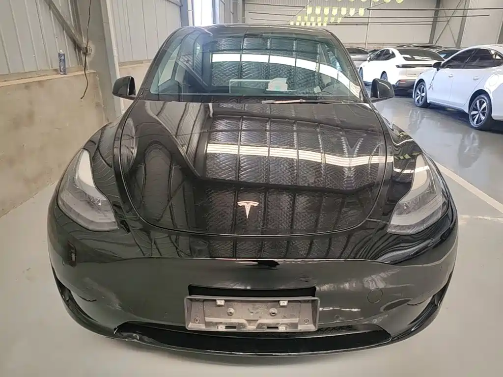 Tesla Model Y — фото 3
