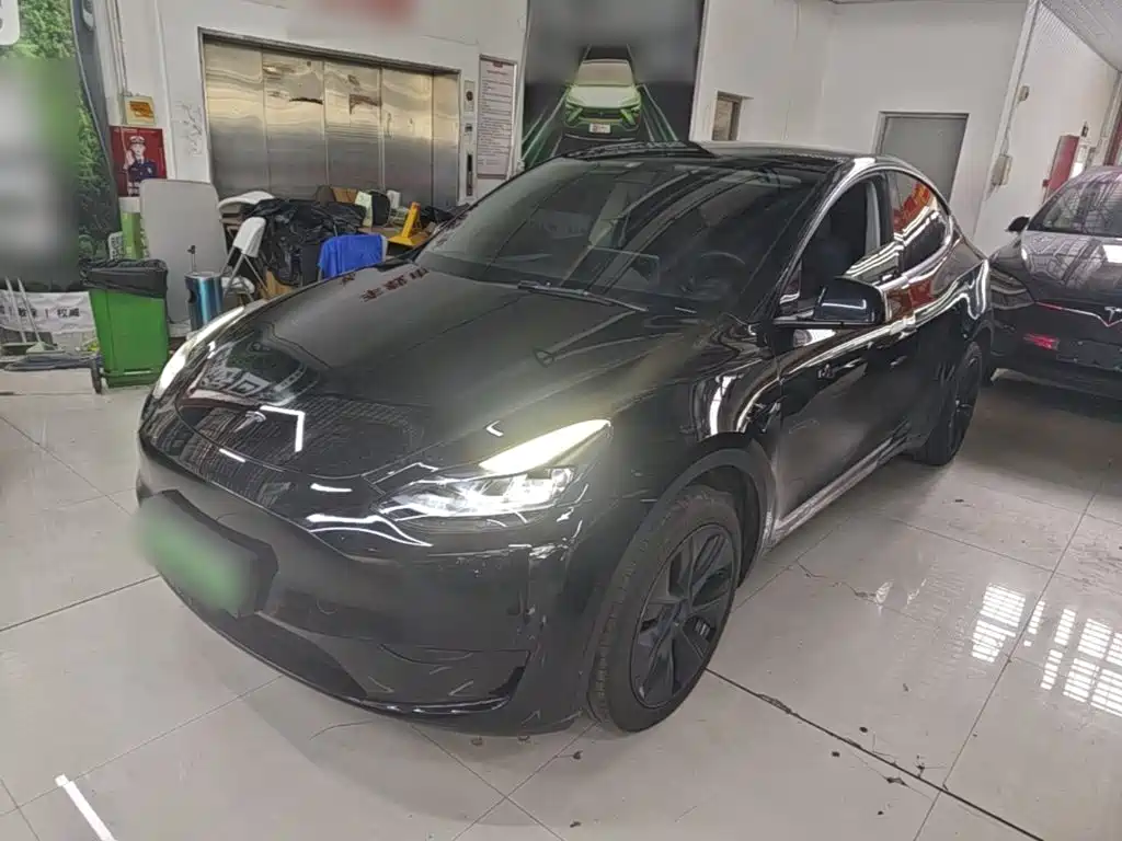 Tesla Model Y — фото 2